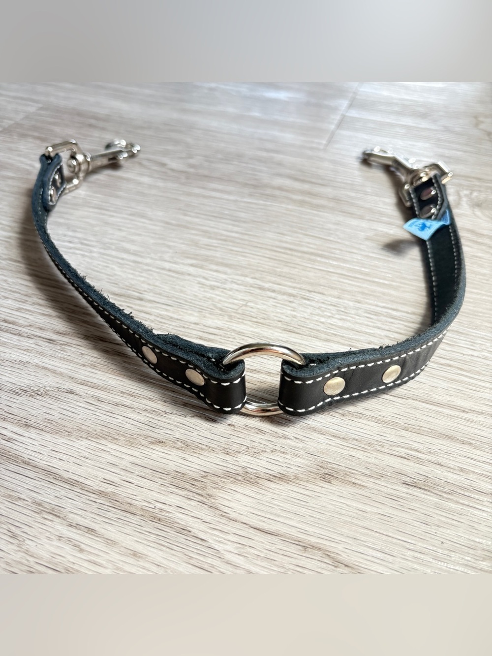 Black Leather Double-Clasp Dog Collar Necklace with Silver Tone Hardware